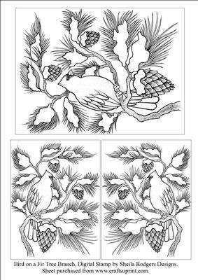 Bird on a Fir Tree Branch, Digital Stamp