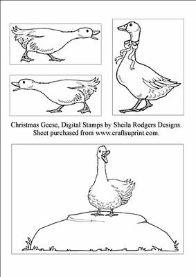 Christmas Geese, Digital Stamps