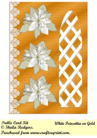 White Poinsettia on Gold Side Arch Trellis Card Kit