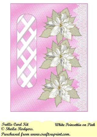 White Poinsettia on Pink Left Trellis Card Kit