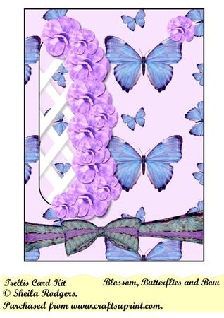 Blossom, Butterflies and Bow Left Trellis Card Kit