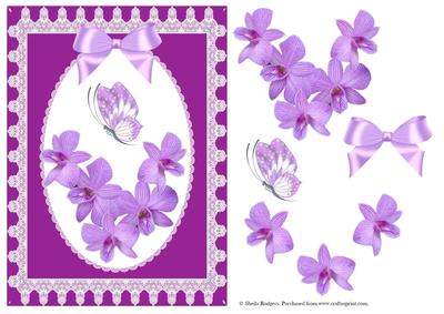 Orchids and Lace 1
