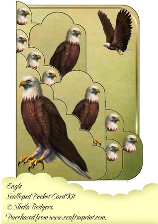 Eagle Scalloped Pocket Card Kit