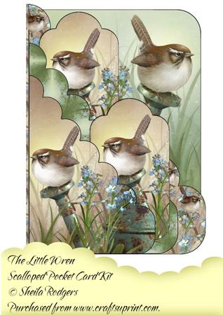 The Little Wren Scalloped Pocket Card Kit