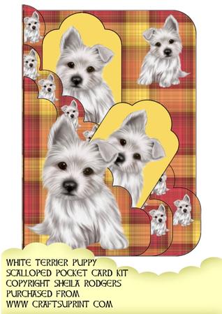White Terrier Puppy Scalloped Pocket Card Kit