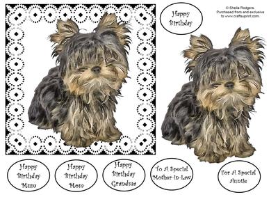 Miniature Yorkshire Terrier Decoupage