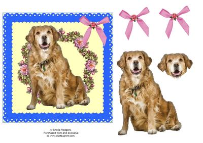 Labrador Dog Decoupage