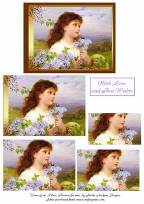 Time of the Lilacs, Brown Frame