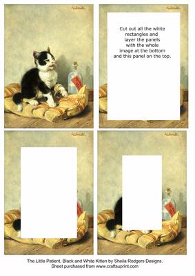 The Little Patient, Black and White Kitten
