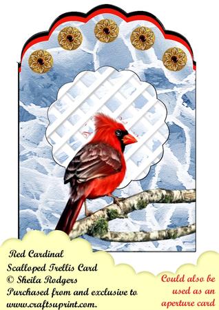 Red Cardinal Scalloped Trellis/aperture Card Kit