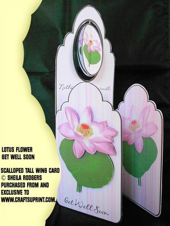 Scalloped Tall Wing Card - Lotus Flower Get Well Soon