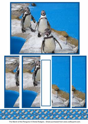 The March of the Penguins