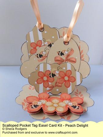 Scalloped Pocket Tag Easel Card - Peach Delight
