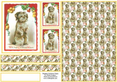 Begging Christmas Puppy