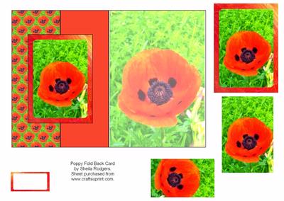 Poppy Fold Back
