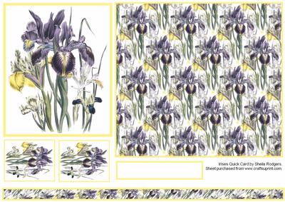 Irises Quick Card