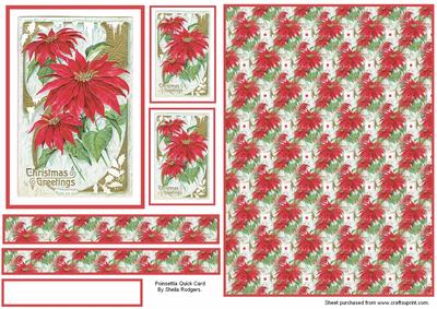 Poinsettia Quick Card