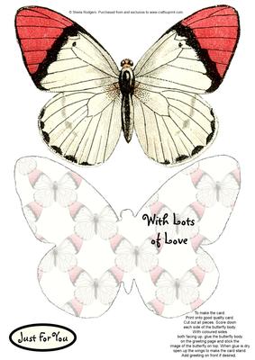 Butterfly Stand Up Card 13