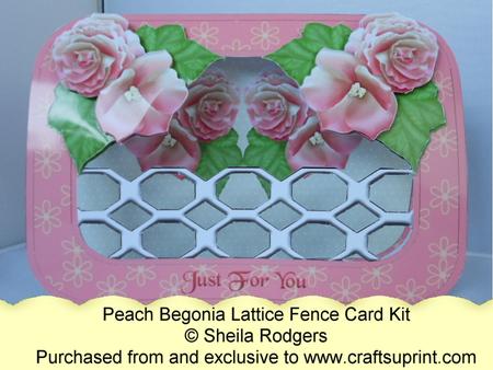 Lattice Fence Card - Peach Begonia
