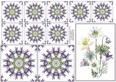 Pulsatilla Flowers with Tea Bag Tiles