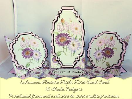 Triple Twist Easel Card - Echinacea Flowers