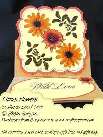 Scalloped Easel Card - Citrus Flowers