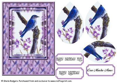 Blue Bird with Violet Flowers