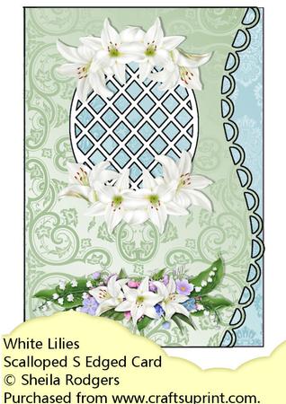 Scalloped S Edged Card - White Lilies