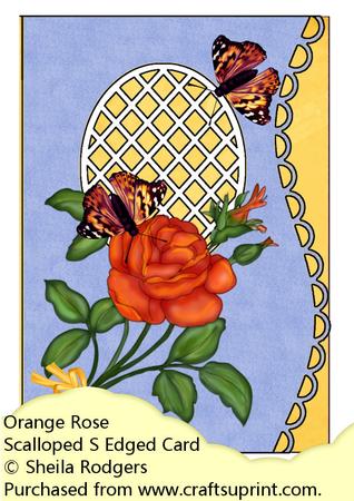 Scalloped S Edged Card - Orange Rose