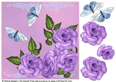 Lilac Roses and Butterflies 8 x 8