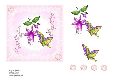 Fuschia and Butterfly on Lace