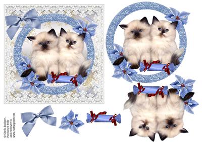 Christmas Kittens on Lace