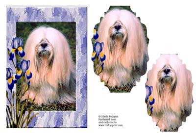 Hairy Dog with Irises