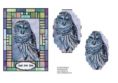 Barred Owl in Stained Glass