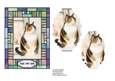 Windowsill Cat in Stained Glass