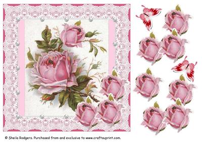 Pink French Roses with Lace