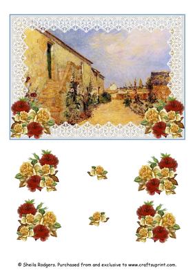 Climbing Roses in Garden