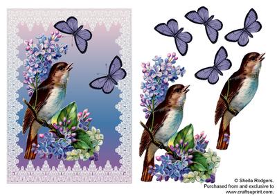 Butterflies, Bird and Lilacs