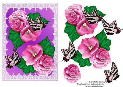 Begonias and Butterflies