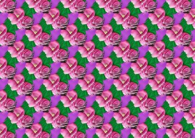 Begonias and Butterflies Backing Paper