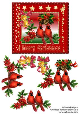 Red Cardinals on Holly