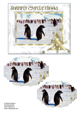 Penguins on Snow