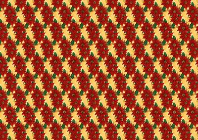 Red Poinsettia Backing Paper