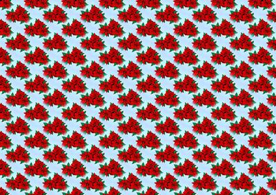 Red Poinsettia 2 Backing Paper