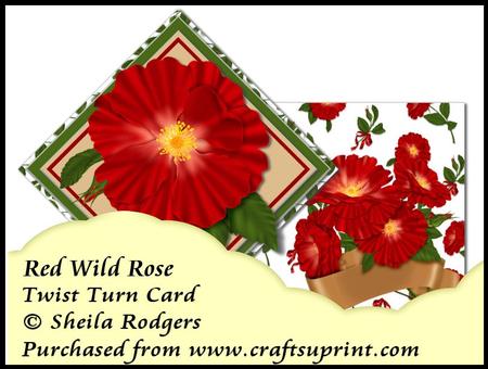 Twist Turn Card - Red Wild Rose