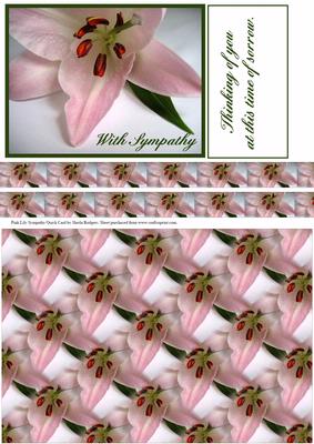 Pink Lily Sympathy Quick Card