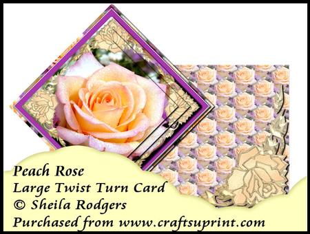 Large Twist Turn Card - Peach Rose