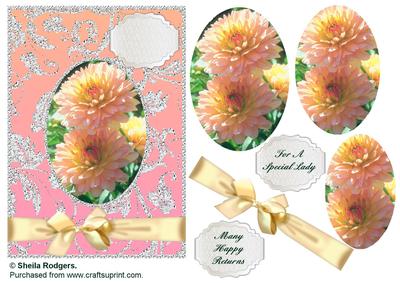 Apricot Blush Flowers