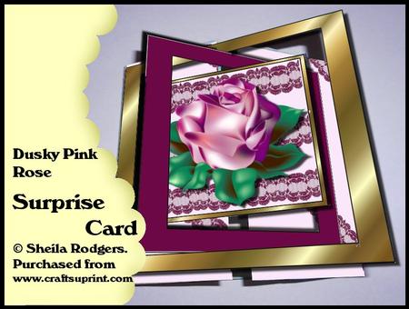 Surprise Card - Dusky Pink Rose