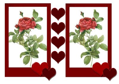 Red Rose in Heart Frame